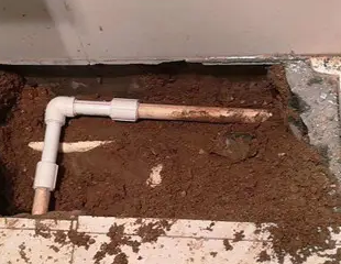 花山测漏水哪家好