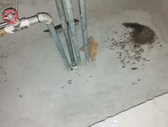 花山卫生间测漏水价格明细